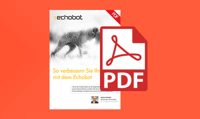 Verbessern Sie Ihre Online-PR mit Echobot – Whitepaper