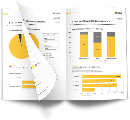 datenbankpflege - quality report