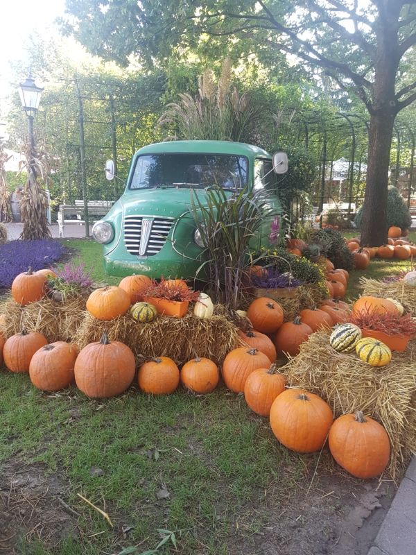 Echobot im Europapark4