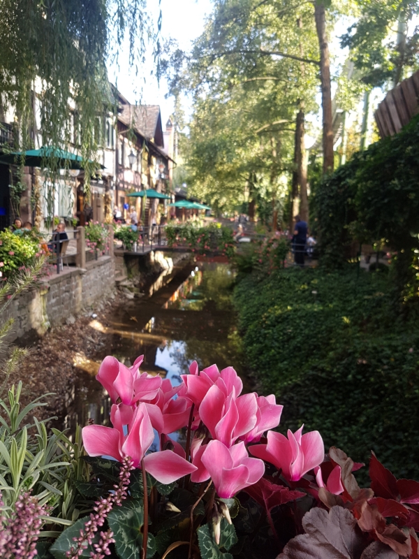 Echobot im Europapark1