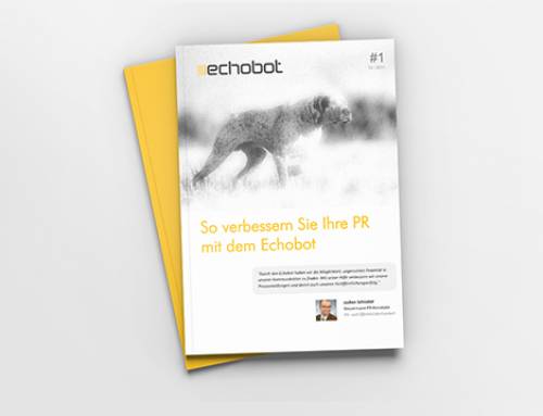 Verbessern Sie Ihre Online-PR mit Echobot – Whitepaper